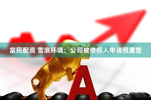 富民配资 雪浪环境：公司被债权人申请预重整