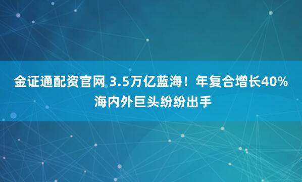 金证通配资官网 3.5万亿蓝海！年复合增长40% 海内外巨头纷纷出手