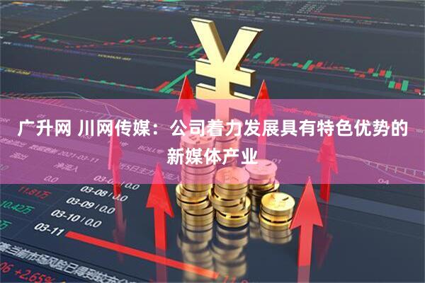 广升网 川网传媒：公司着力发展具有特色优势的新媒体产业