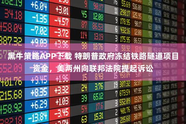 黑牛策略APP下载 特朗普政府冻结铁路隧道项目资金，美两州向联邦法院提起诉讼