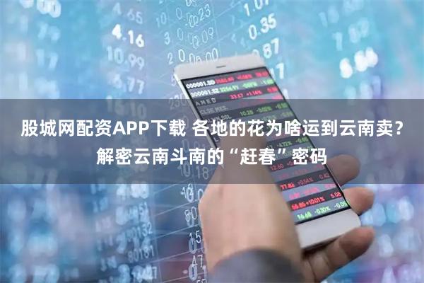 股城网配资APP下载 各地的花为啥运到云南卖？解密云南斗南的“赶春”密码