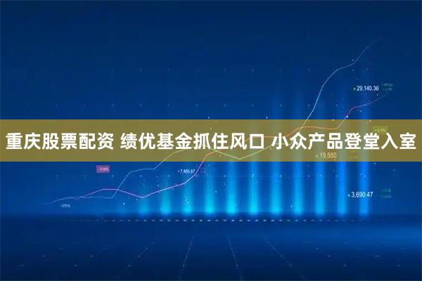 重庆股票配资 绩优基金抓住风口 小众产品登堂入室
