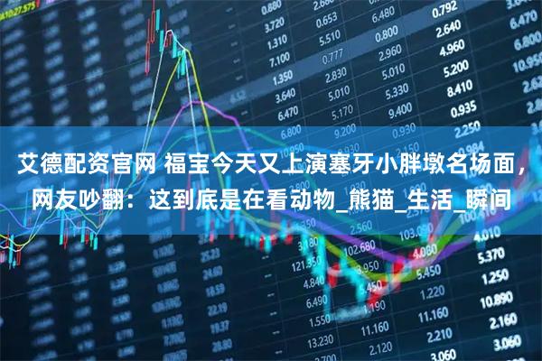 艾德配资官网 福宝今天又上演塞牙小胖墩名场面，网友吵翻：这到底是在看动物_熊猫_生活_瞬间
