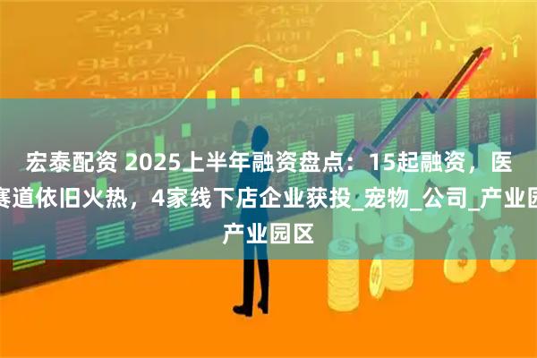 宏泰配资 2025上半年融资盘点：15起融资，医疗赛道依旧火热，4家线下店企业获投_宠物_公司_产业园区