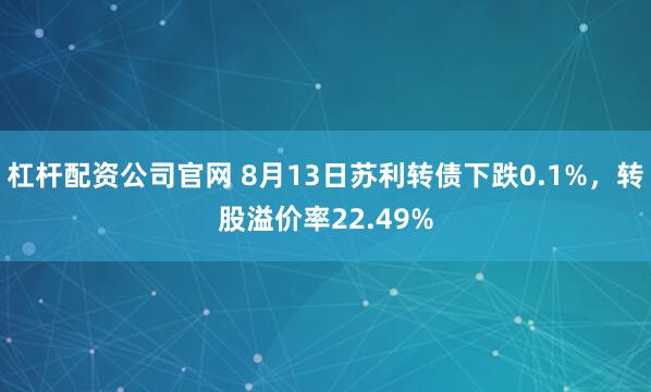 杠杆配资公司官网 8月13日苏利转债下跌0.1%，转股溢价率22.49%