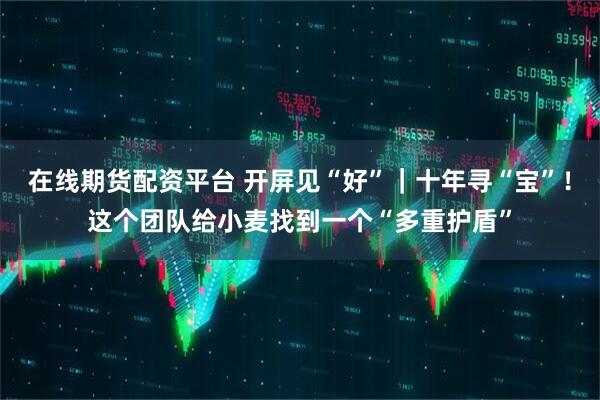 在线期货配资平台 开屏见“好”｜十年寻“宝”！这个团队给小麦找到一个“多重护盾”