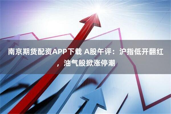南京期货配资APP下载 A股午评：沪指低开翻红，油气股掀涨停潮