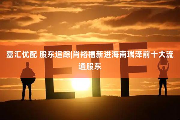 嘉汇优配 股东追踪|肖裕福新进海南瑞泽前十大流通股东