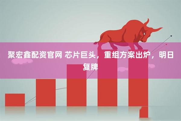 聚宏鑫配资官网 芯片巨头，重组方案出炉，明日复牌