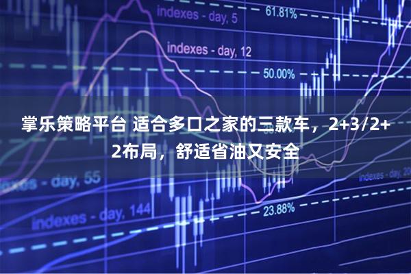 掌乐策略平台 适合多口之家的三款车，2+3/2+2布局，舒适省油又安全